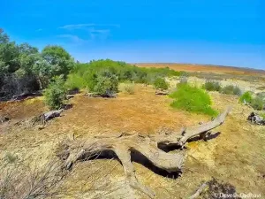 Biodiversity Heritage Site this village in Kutch gets recognition as a 'Biodiversity Heritage Site'