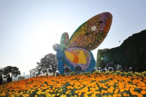 Chief Minister Shri Bhupendra Patel inaugurates 'Ahmedabad International Flower Show - 2025'