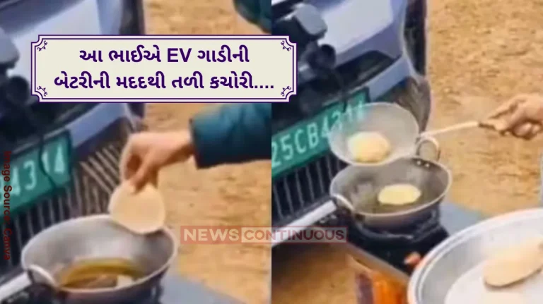 Desi Jugaad Rajasthan Man Uses EV Car Battery To Fry Kachoris But Not Everyone On Internet Approves