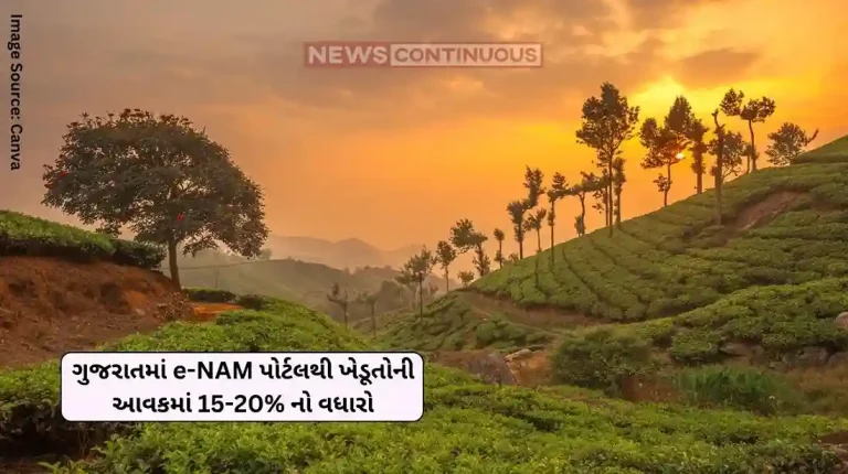 Digital Agriculture Revolution Farmers’ income increased by 15-20% in Gujarat through e-NAM portal, sales worth this much crores Digital Agriculture Revolution Farmers' income increased by 15-20% in Gujarat through e-NAM portal, sales worth this much crores