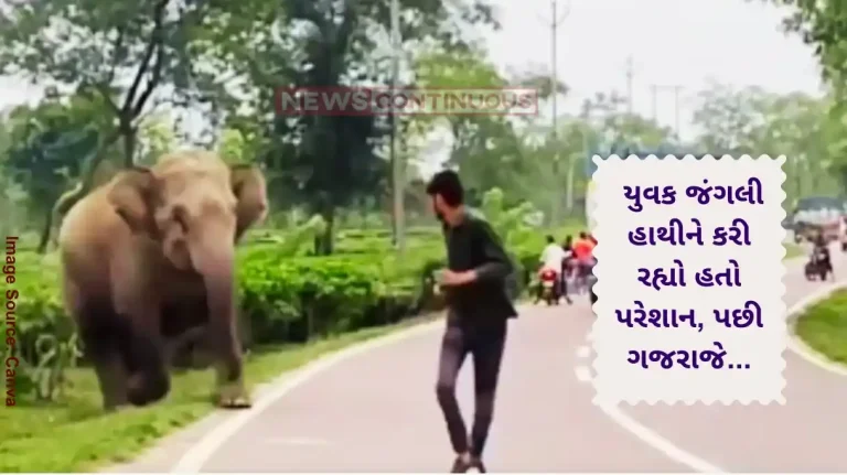 Elephant Viral Video Youth Provokes Elephant, IFS Officer Warns Elephant Viral Video Youth Provokes Elephant, IFS Officer Warns