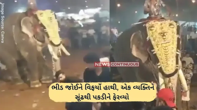 Elephant turns violent during religious event in Malappuram, swings man in air with trunk Elephant turns violent during religious event in Malappuram, swings man in air with trunk