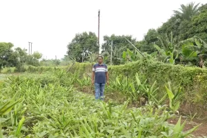 Futuristic Farming: Comrade Hemantbhai Patel's 'Futuristic Farming' aims to earn dollars by exporting Nero abroad with 3500 dates...