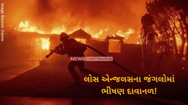 Hollywood hills fire Harrowing videos capture devastation of Los Angeles fires