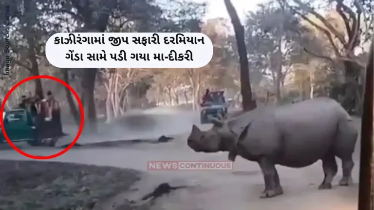 Kaziranga viral video Mother and daughter fall from jeep in front of rhinos during Kaziranga safari Kaziranga viral video Mother and daughter fall from jeep in front of rhinos during Kaziranga safari