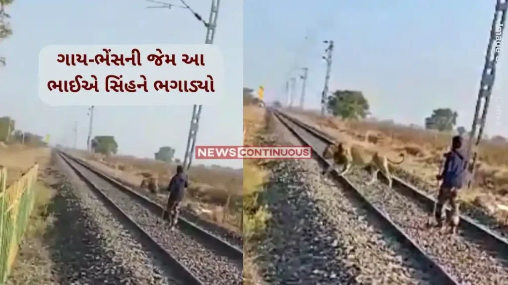 Lion Rescue Video Gujarat forest guard fearlessly uses a stick to shoo away lion from railway track. Watch
