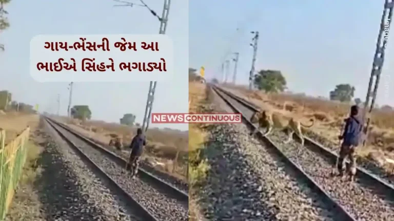 Lion Rescue Video Gujarat forest guard fearlessly uses a stick to shoo away lion from railway track. Watch