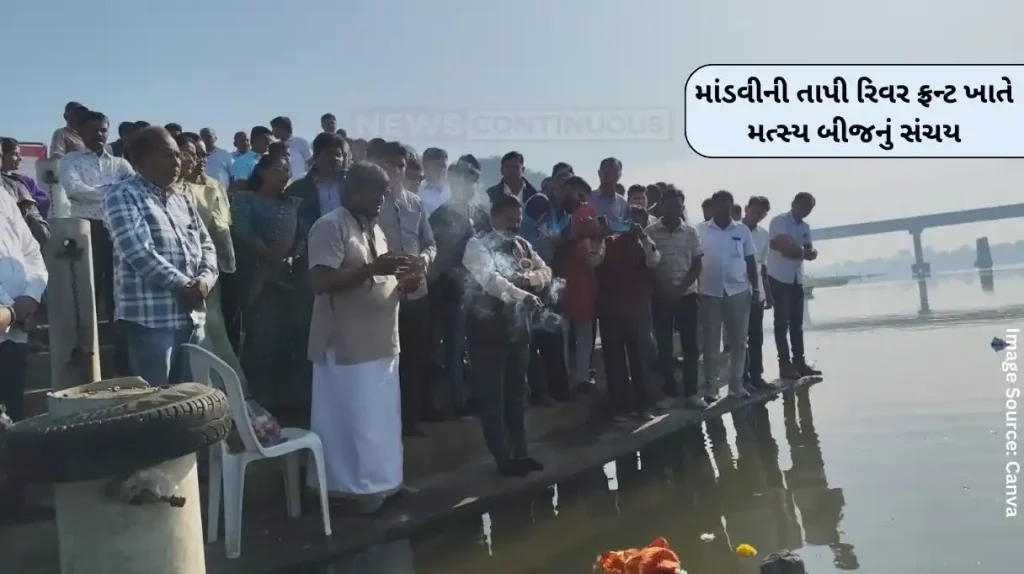 Mandvi Tapi River Fish seed accumulation at Mandvi's Tapi River front, fishermen will get livelihood...
