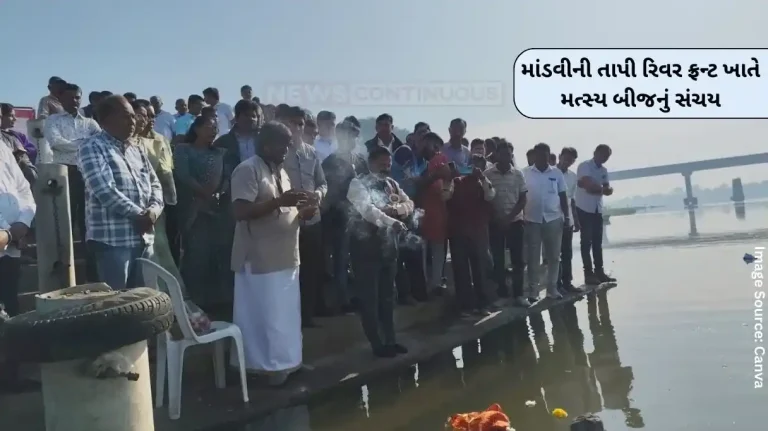 Mandvi Tapi River Fish seed accumulation at Mandvi’s Tapi River front, fishermen will get livelihood… Mandvi Tapi River Fish seed accumulation at Mandvi's Tapi River front, fishermen will get livelihood...