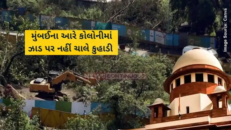 Mumbai Aarey Forest No tree felling in Mumbai's Aarey without our nod Supreme Court