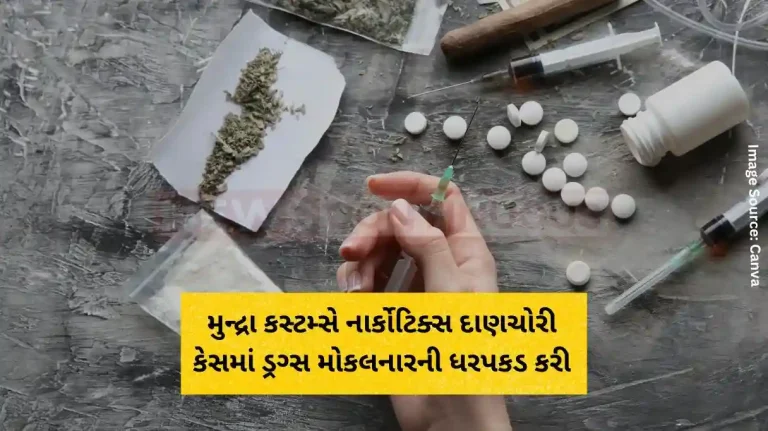 Mundra Customs arrests drug consignor in narcotics smuggling case