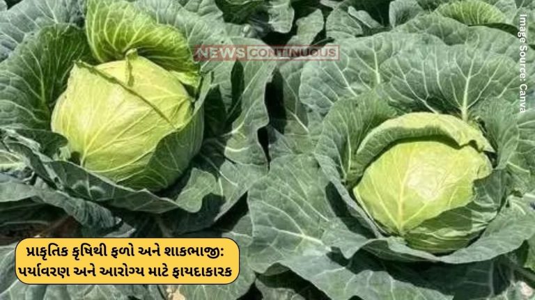 Natural Agriculture Production of fruits and vegetables through natural agriculture is beneficial for the environment and health. Natural Agriculture: પ્રાકૃતિક કૃષિથી ફળો અને શાકભાજીનું ઉત્પાદન પર્યાવરણ અને આરોગ્ય માટે ફાયદાકારક