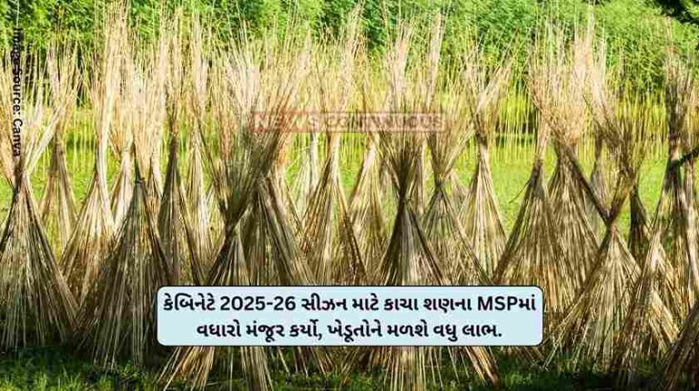 Raw Jute Cabinet approves benefit to farmers, increase in MSP of raw jute by this much rupees for 2025-26 season