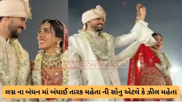 TMKOC fame jheel mehta and aditya dubey wedding video goes viral