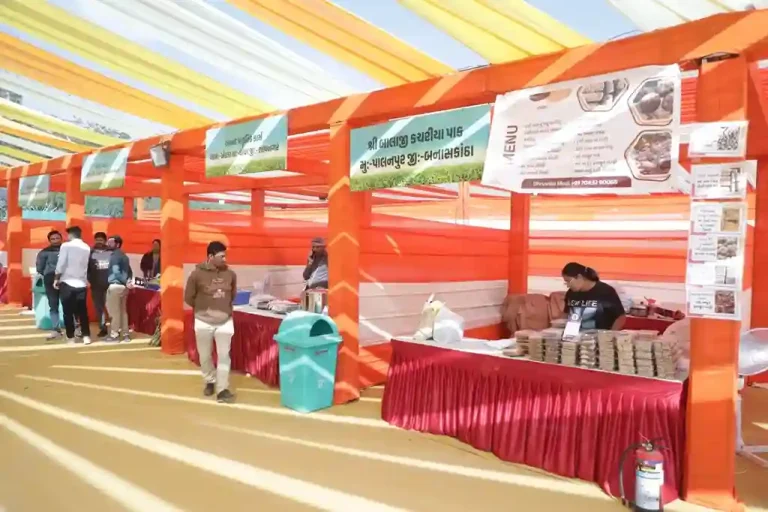 Ahmedabad Millet Festival Ahmedabadites had fun at the state-level millet festival (1) Ahmedabad Millet Festival Ahmedabadites had fun at the state-level millet festival