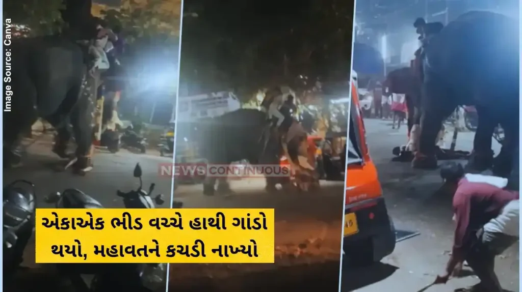 Elephant Attack Video elephant crushed and killed mahout in temple festival video viral