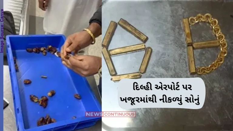 Gold Smuggling Video Customs seizes 172gm gold concealed in dates at IGI Airport in Delhi Gold Smuggling Video Customs seizes 172gm gold concealed in dates at IGI Airport in Delhi