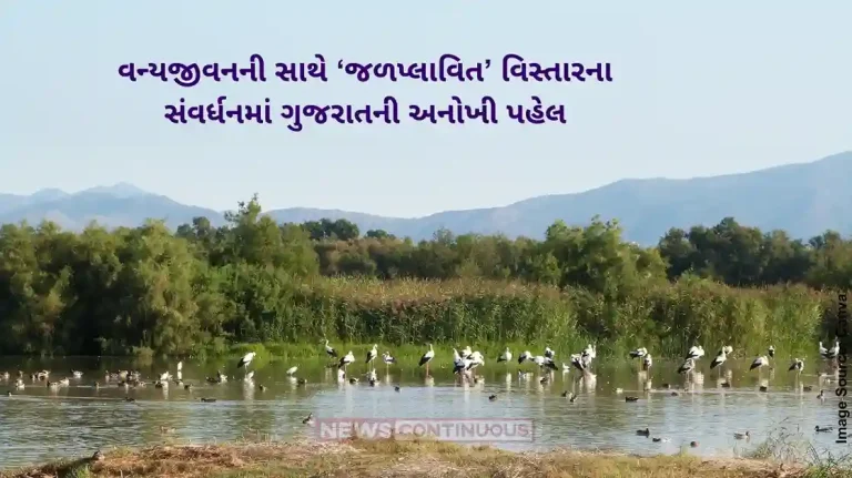Gujarat has 21% of country’s wetland area says State govt Gujarat has 21% of country’s wetland area says State govt