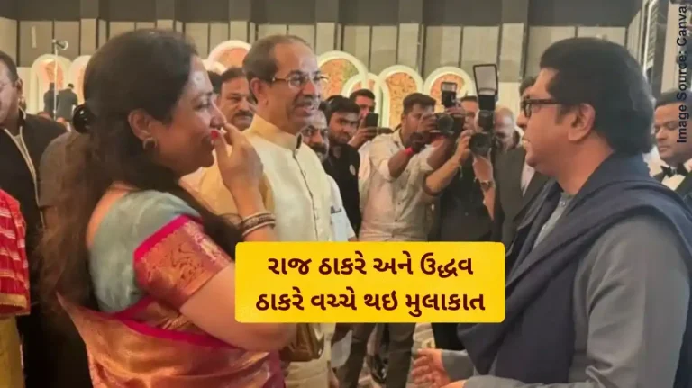 Maharashtra Politics Raj Thackeray and Uddhav Thackeray met again know the reason Maharashtra Politics Raj Thackeray and Uddhav Thackeray met again know the reason
