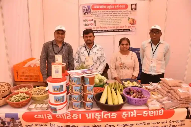 Millets Festival 2025 Minister of State for Home Harsh Sanghvi inaugurated the Millets Festival (3) Millets Festival 2025 Minister of State for Home Harsh Sanghvi inaugurated the Millets Festival