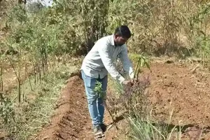 Natural Farming Farmer Harshadbhai Chaudhary abandoned chemical farming and adopted natural farming