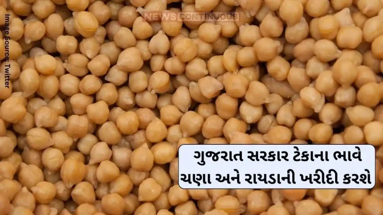 PM Asha Scheme Gujarat government will purchase gram and raida at support price PM Asha Scheme Gujarat government will purchase gram and raida at support price