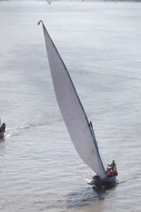 Sea Rowing Competition 44th Mahajan Memorial Sea Rowing Competition was held