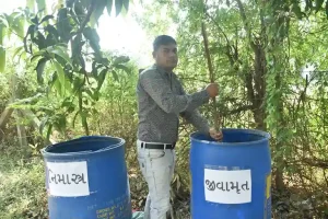 Surat farmer Nimeshbhai Patel adopted natural farming, cultivated sugarcane and turmeric and achieved a production worth lakhs