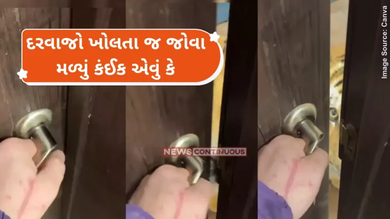 Tiger Viral Video shows man opening door to unexpected visitor, leaves internet stunned.