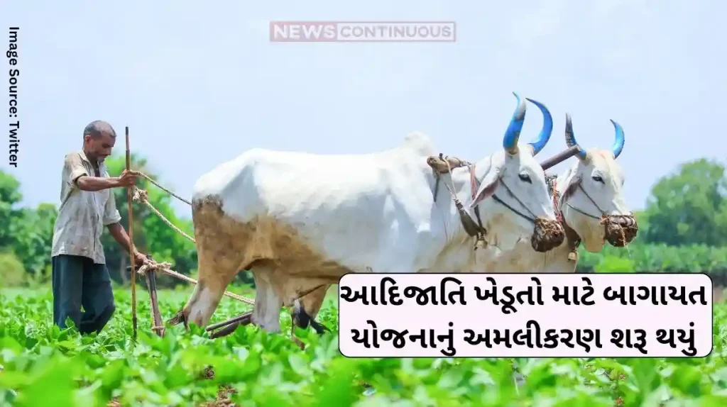 Tribal Farmers Implementation of Horticulture Scheme for Tribal Farmers has started