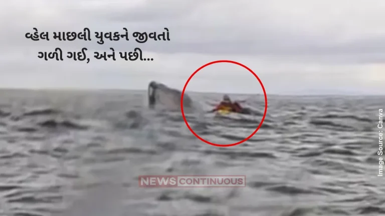 Whale Swallows Man Humpback Whale Gulps Kayaker In Chile, Father Was Recording Video