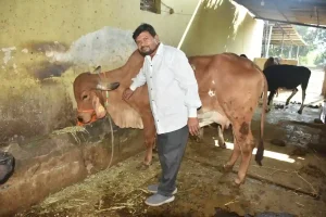 organic farming Sale of mixed crops in Bardoli through natural farming
