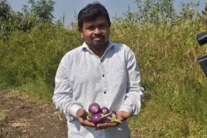 organic farming Sale of mixed crops in Bardoli through natural farming