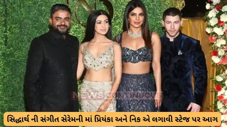 priyanka chopra and nick jonas performed at siddharth chopra sangeet ceremony
