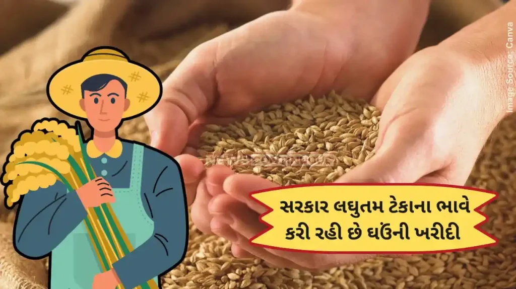 Agriculture News Government Will Purchase Wheat At Rs. 2425 Per Quintal, Register By April 5