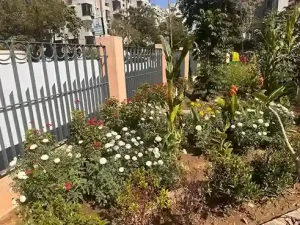 Community Urban Forest Community Urban Forest opened in Ahmedabad