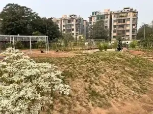 Community Urban Forest Community Urban Forest opened in Ahmedabad