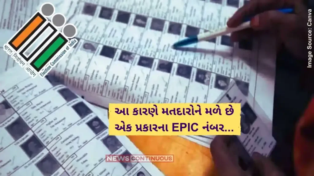 Duplication of voter card numbers doesn't imply fake voters Election Commission