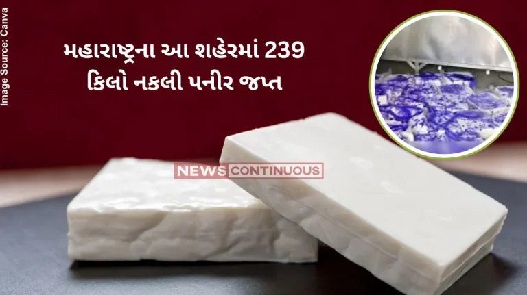 Fake PaneerFDA seizes 239kg of suspected substandard paneer in nashik