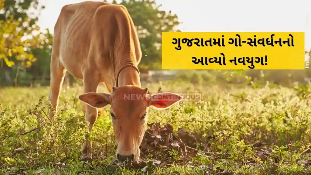 Gujarat cattle welfare Gujarat CM launches ‘Mukhyamantri Gau Mata Poshan Sahay Yojana’ for cattle welfare