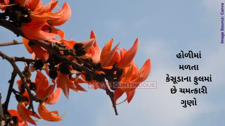 Kesauda benefits Health Benefits, Uses In Ayurveda, Dosage, Side Effects Kesauda benefits Health Benefits, Uses In Ayurveda, Dosage, Side Effects