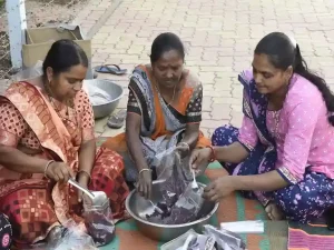 Lakhpati Didi Yojana these women are a great example of self reliance earning lakhs today through home industries