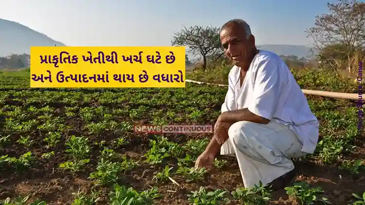 Natural Farming benefits of natural farming are immense, natural farming reduces costs and increases production. Natural Farming benefits of natural farming are immense, natural farming reduces costs and increases production.