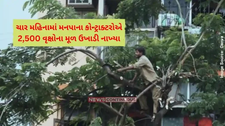 No Concern for Mumbai's Environment. Contractors Uproot 2,500 Trees in Four Months!