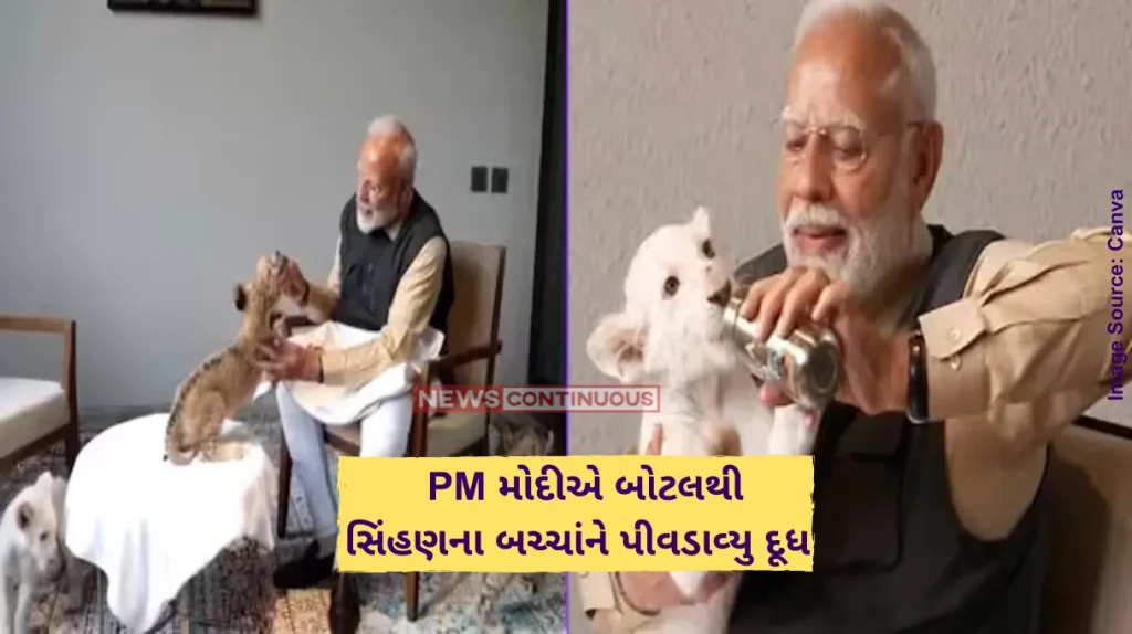 PM Modi Vantara PM Modi plays, feeds lion cubs at Anant Ambani's Vantara animal shelter