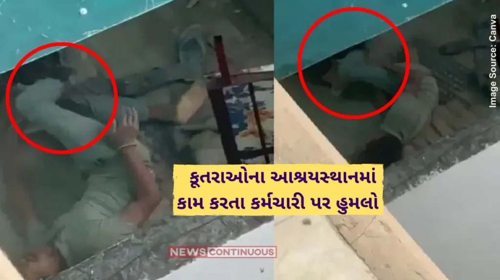 Pitbull AttackPitbull Attacks Dog Shelter Worker In Noida, Leaves Him Hospitalized