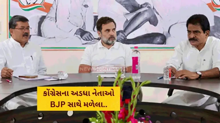 Rahul Gandhi Gujarat Congress Leader Rahul Gandhi Lashes Out At Congress leader