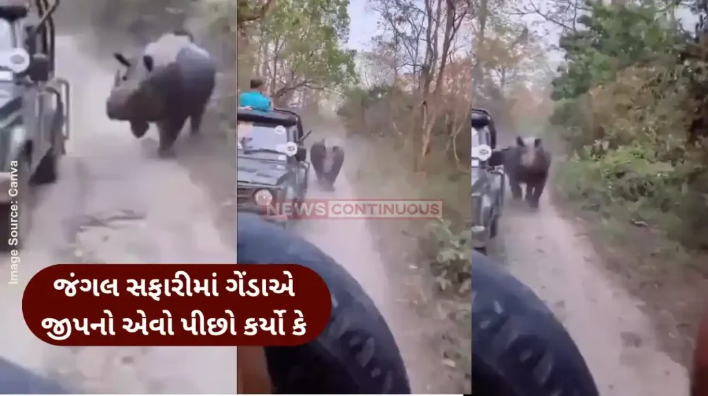 Rhino Attack Manas National Park Caught on camera, Rhino rams tourist vehicle in Manas National Park