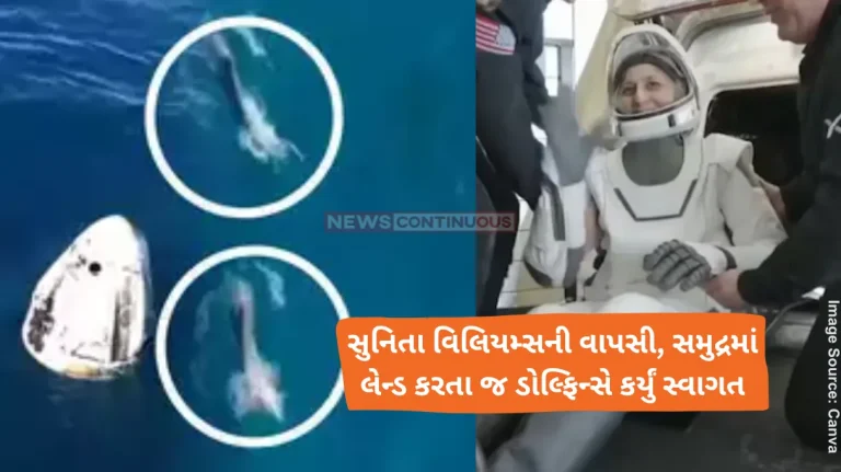 Sunita Williams returns Dolphins welcome Sunita Williams as she lands in the ocean, Elon Musk shares adorable video