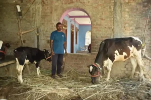 Tribal youth Pradipbhai Patel is earning an income of Rs. 30 thousand per month through animal husbandry